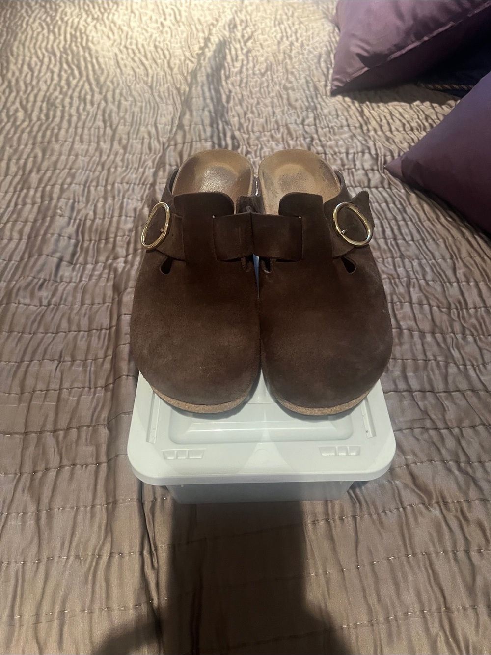 Birkenstock Brown Suede Slip-On Clogs with Gold Buckles